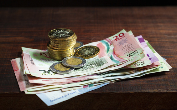 El Senado de la Republica aprobó una nueva reforma para que los salarios no esten por debajo de la inflación.(FOTO: Freepik)