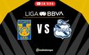 Tigres vs Puebla EN VIVO. Partido HOY Liga MX 2024