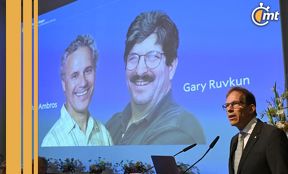 Victor Ambros y Gary Ruvkum ganadores del Premio Nobel de Medicina 2024 por el descubrimiento de los MicroARN| Foto: AFP