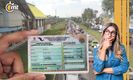 Tarjeta de circulación Estado de México. Así puedes verificar la autenticidad| Foto: Especial
