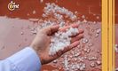 ¿Cuál es la probabilidad de que caiga granizo HOY 24 de octubre?