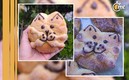 Conoce el delicioso 'michimuerto'l, la nueva y viral variante del pan de muerto. Foto: Especial