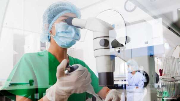 La investigación fue realizada por Facultad de Medicina de Arizona-Tucson (Foto: Foto: Ministerio de Ciencia)
