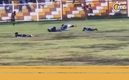 Jugadores tendidos en el campo tras el impacto del rayo (Captura)