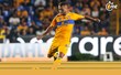 Carioca no saldrá de Tigres (Foto: Mexsport)