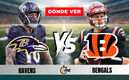 Donde ver Ravens vs Bengals HOY en la semana 10 de la NFL