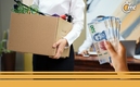 Seguro de Desempleo Activo 2024: requisitos para obtener $6 mil 500 pesos al mes. Foto: Especial