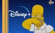 ¿Cuánto cobrará Disney Plus si comparto mi cuenta con mi amigo?
