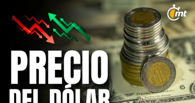 Dólar en México HOY 11 de marzo de 2025: Precio de compra y venta. Foto: Especial.