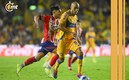 Tigres y Atlético San Luis se miden en Cuartos del AP2024 (Imago7)