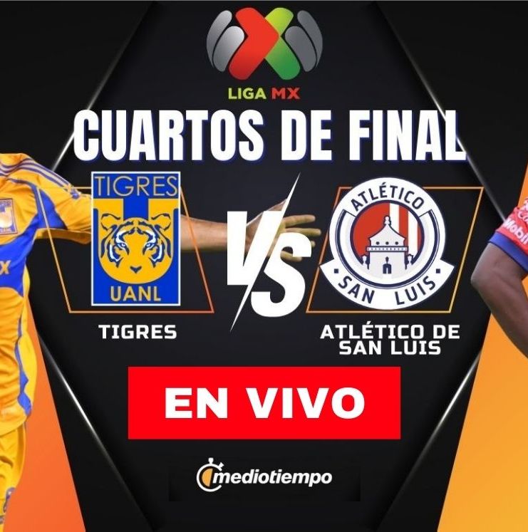 Sigue EN VIVO el partido entre Tigres y Atlético San Luis. FOTO: Especial