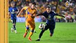 América cerca de emular a Tigres en torneos cortos (Foto: Imago7)