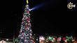 ¿Cuándo es el encendido del árbol de Navidad en el Zócalo de la CDMX?