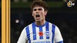 Brighton advierte a equipo croata (Foto: @officialbhafc)