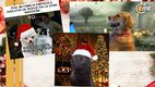 ¿Cuáles son los mejores memes de Navidad este 2024?