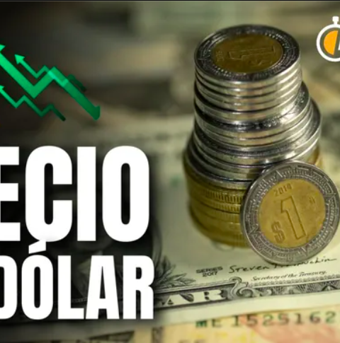 Dólar en México HOY 11 de marzo de 2025: Precio de compra y venta. Foto: Especial.