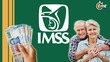 ¿Cuándo cae el primer pago de 2025 de la Pensión del IMSS? (Especial)