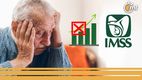 ¿Por qué no aumentó la Pensión IMSS en el primer pago de 2025? Te decimos. (FOTO): iStock.