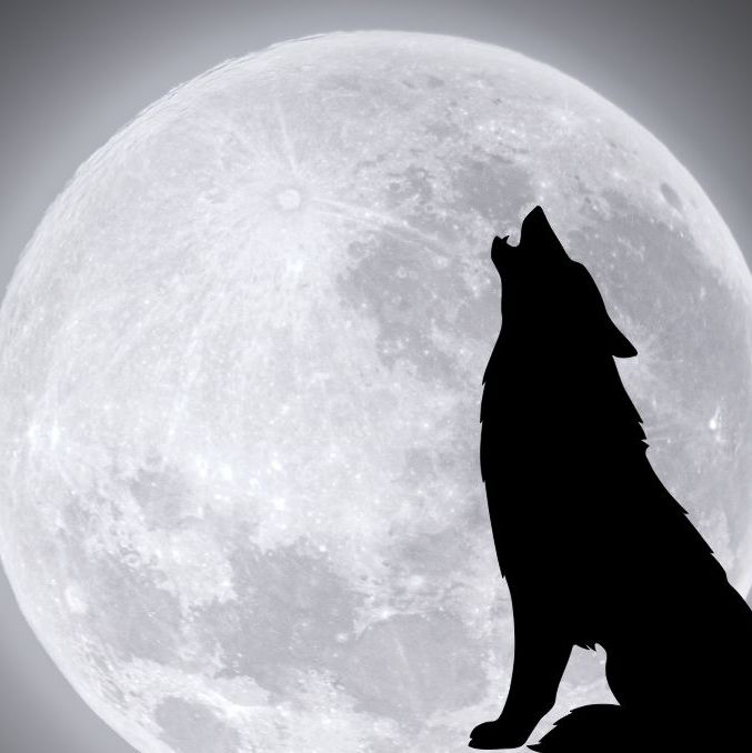 ¿cuándo y cómo ver la primer Luna llena del 2025?