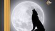 ¿cuándo y cómo ver la primer Luna llena del 2025?