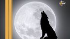 ¿cuándo y cómo ver la primer Luna llena del 2025?