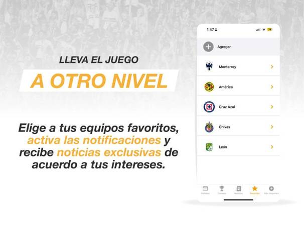 Personaliza la app de acuerdo a tus intereses