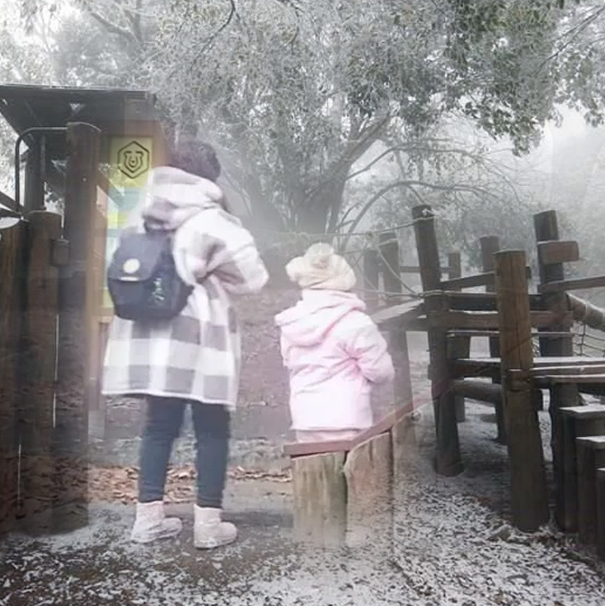 En Chipinque suele caer nieve con temperaturas bajas.