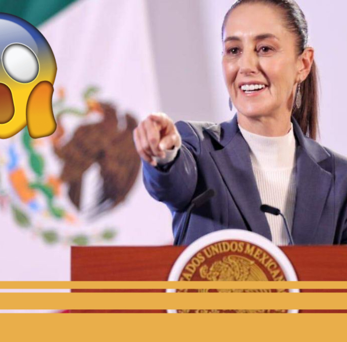 Claudia Sheinbaum hará cambios en las escuelas de México; estos serán los principales. Foto: Roberto Hernández