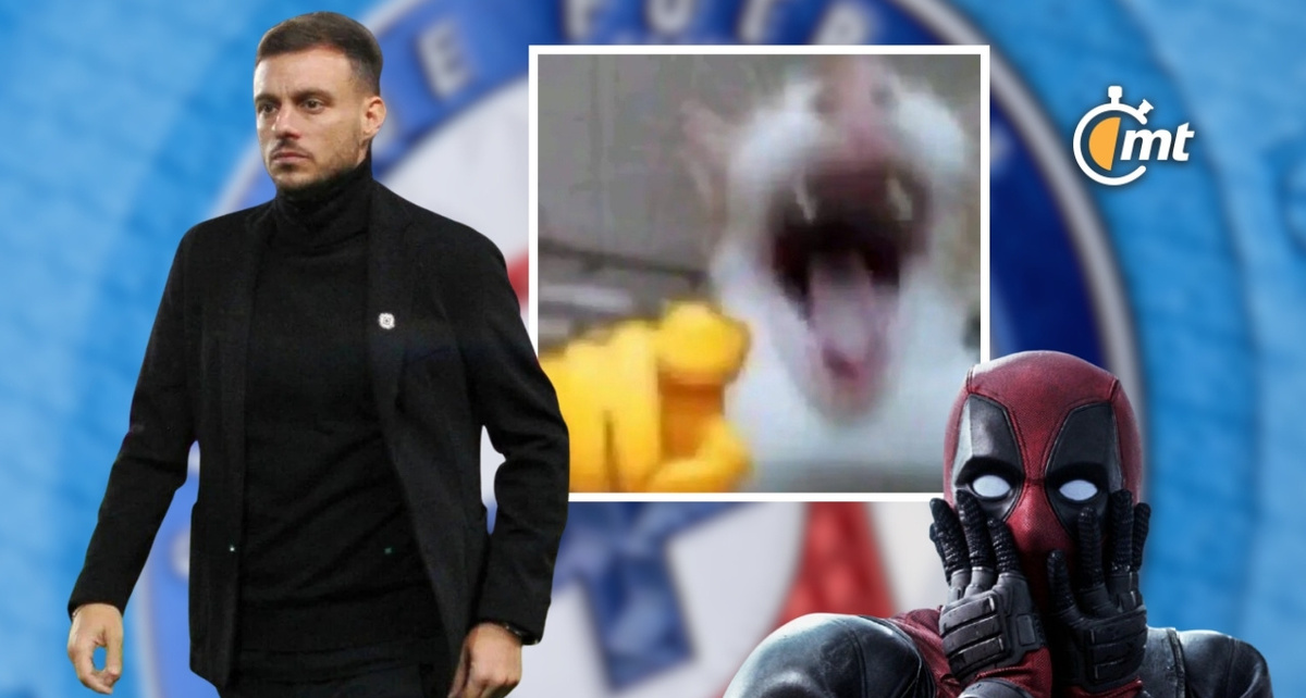 Memes se burlan de la afición celeste tras la salida de Martín Anselmi del Cruz Azul. Foto: Especial