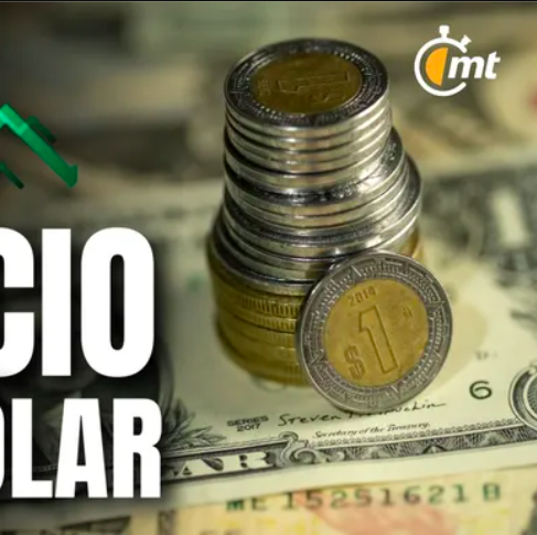 Dólar en México HOY 11 de marzo de 2025: Precio de compra y venta. Foto: Especial.