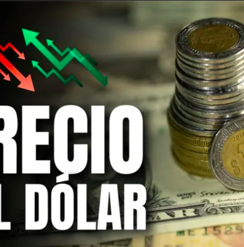 Dólar en México HOY 11 de marzo de 2025: Precio de compra y venta. Foto: Especial.