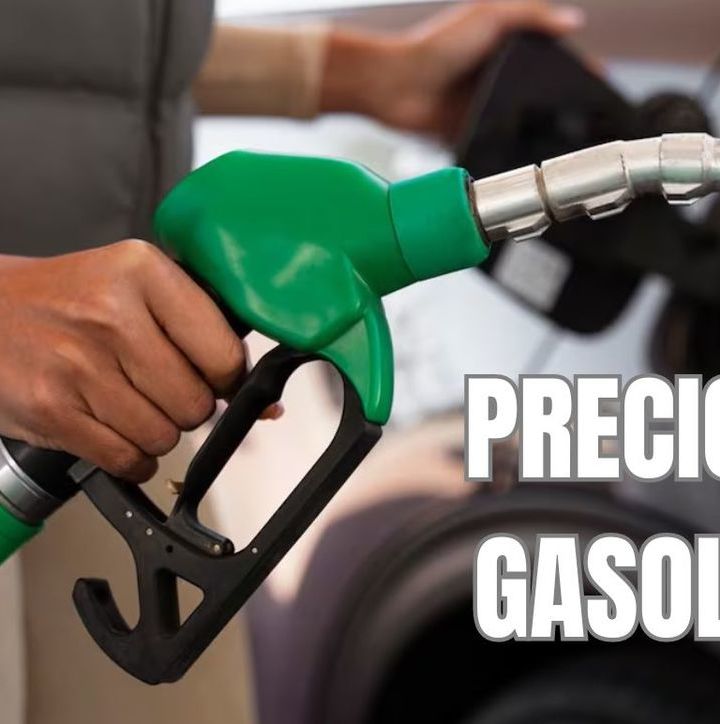 Precio de la Gasolina| Foto: Especial