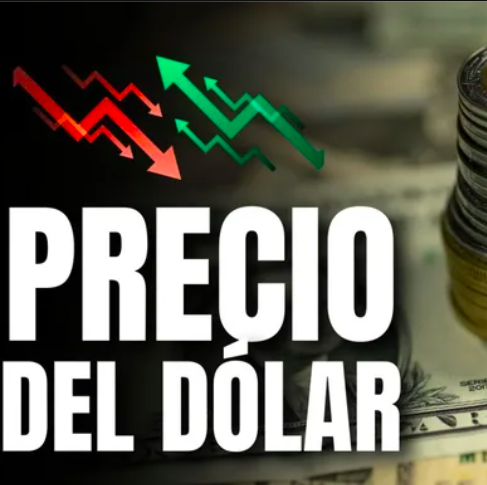 Dólar en México HOY 11 de marzo de 2025: Precio de compra y venta. Foto: Especial.