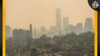 Estos coches no podrán circula el jueves 27 de febrero por contingencia ambiental. Foto: Cuartoscuro