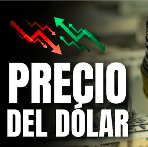 Dólar en México HOY 11 de marzo de 2025: Precio de compra y venta. Foto: Especial.