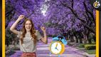 ¿A qué hora inicia la primavera en México?