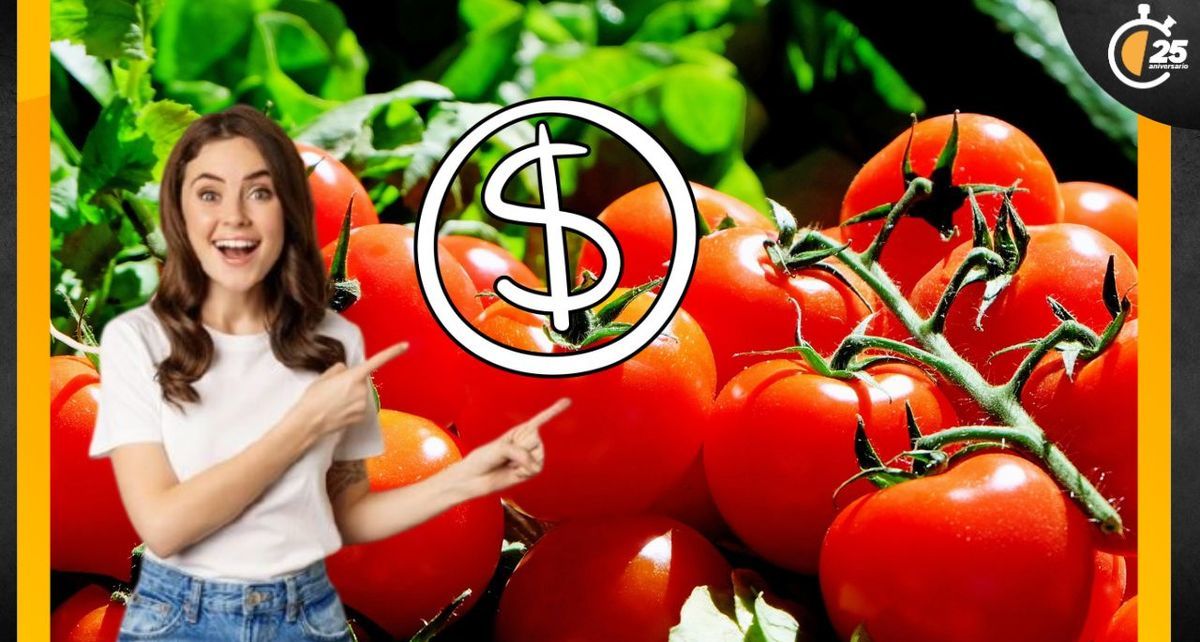 ¿Dónde comprar jitomate a 12 pesos el kilo HOY 25 de marzo? Te decimos