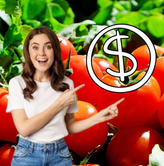 ¿Dónde comprar jitomate a 12 pesos el kilo HOY 25 de marzo? Te decimos