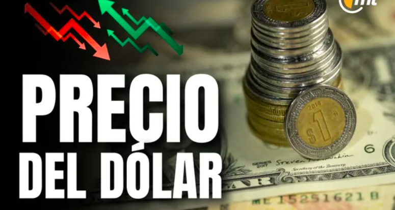 Dólar en México HOY 11 de marzo de 2025: Precio de compra y venta. Foto: Especial.