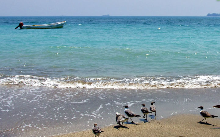 Así lucen las playas de Veracruz gracias al encierro social por la covid-19. (@WebcamsDeMéxico)