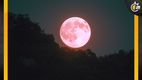 Luna Rosa: origen y cómo ver en México este 2025. (FOTO): Especial.