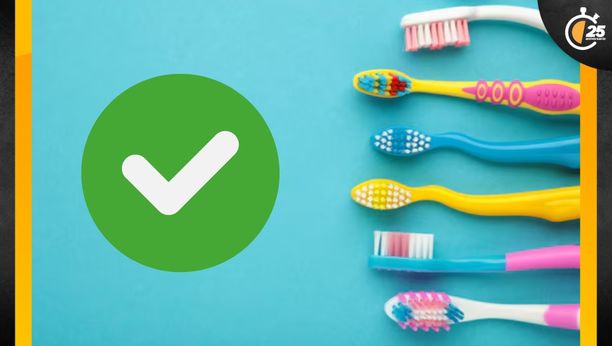 Profeco: estos son los mejores modelos de cepillos de dientes. Conoce sus características y precios. (FOTO): Especial.