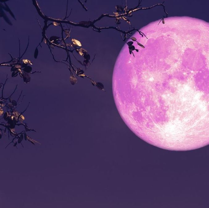 Luna Rosa 2025: ¿a qué hora podrá verse su punto máximo en México? Te decimos. (FOTO): Canva.