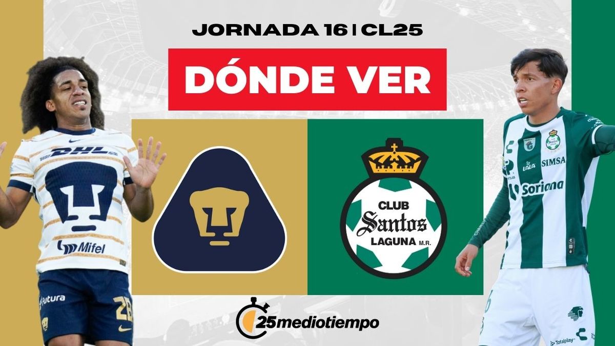 santos pumas
