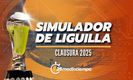 Simulador Clausura 2025: equipos clasificados AL MOMENTO (Tom Mendoza)