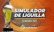Simulador Clausura 2025: equipos clasificados AL MOMENTO (Tom Mendoza)
