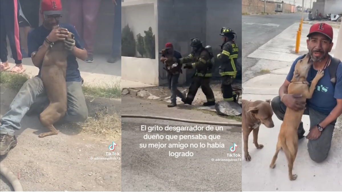 Bomberos rescatan a perrito de incendio y dueño rompe en llanto