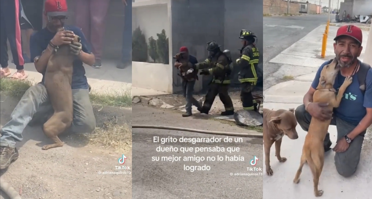 Luis Alberto perdió su hogar tras un incendio, pero logró reencontrarse con sus dos perritas. Foto: @gabrielacortez31