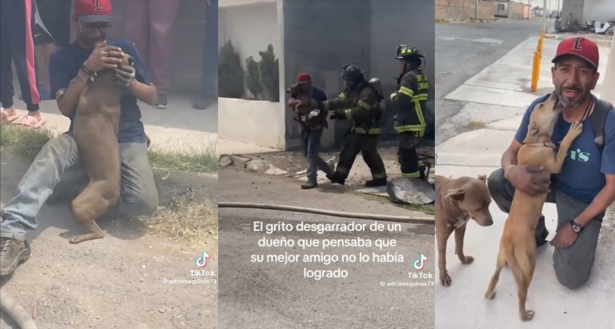 Luis Alberto perdió su hogar tras un incendio, pero logró reencontrarse con sus dos perritas. Foto: @gabrielacortez31