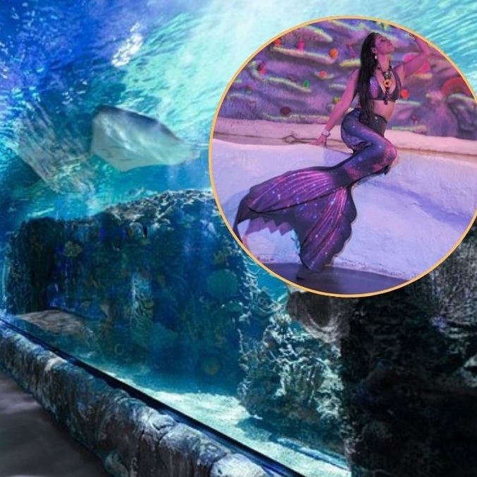 Acuario Imbursa presenta show 'Sirenas y Tritones' hasta el 30 de abril.